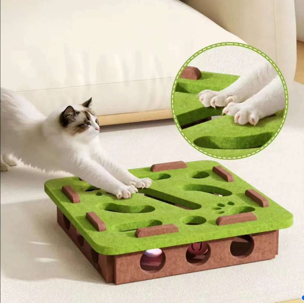 Interactief kattenspeeltje