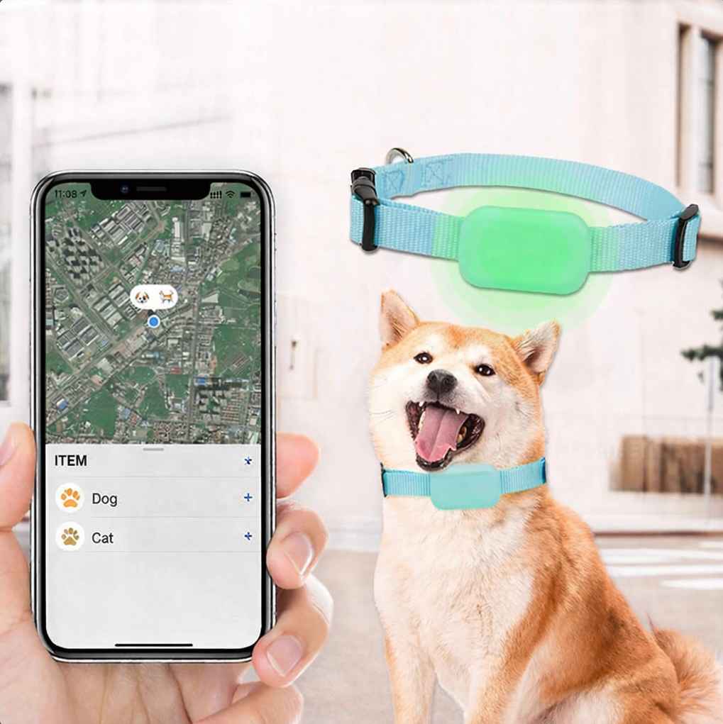 GPS Halsband