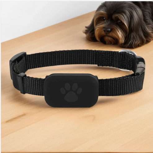 GPS Halsband