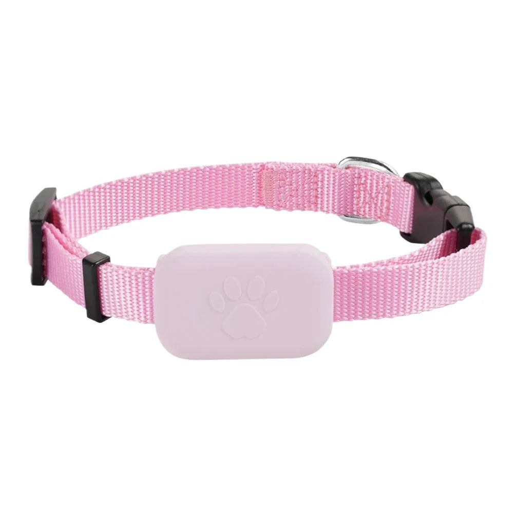GPS Halsband