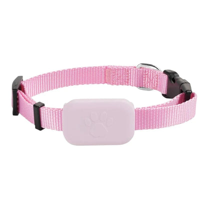 GPS Halsband