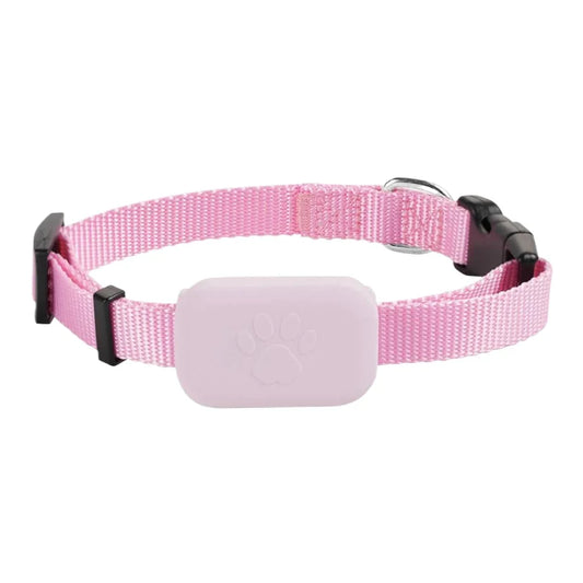 GPS Halsband