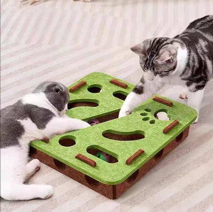 Interactief kattenspeeltje