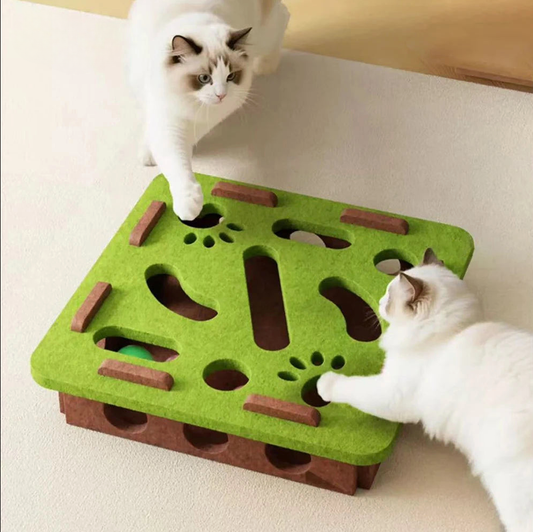 Interactief kattenspeeltje