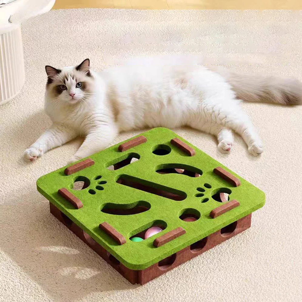Interactief kattenspeeltje