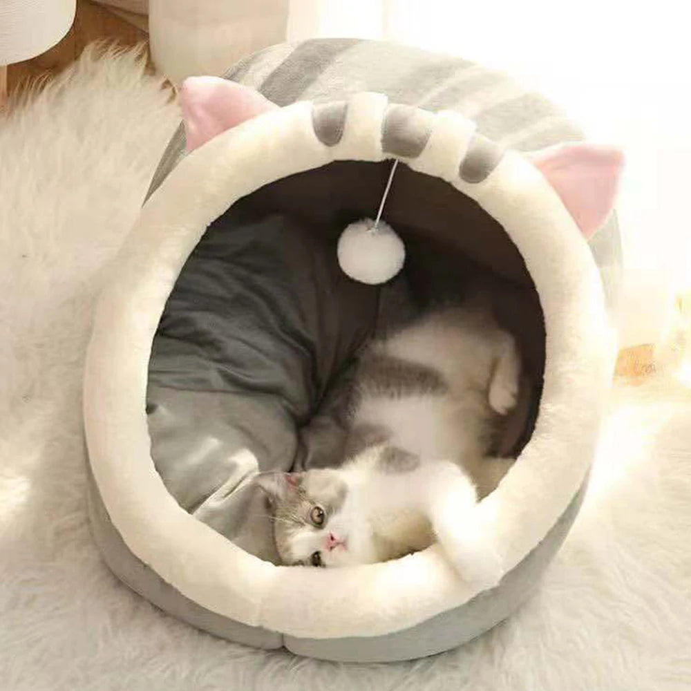 Kattenbed